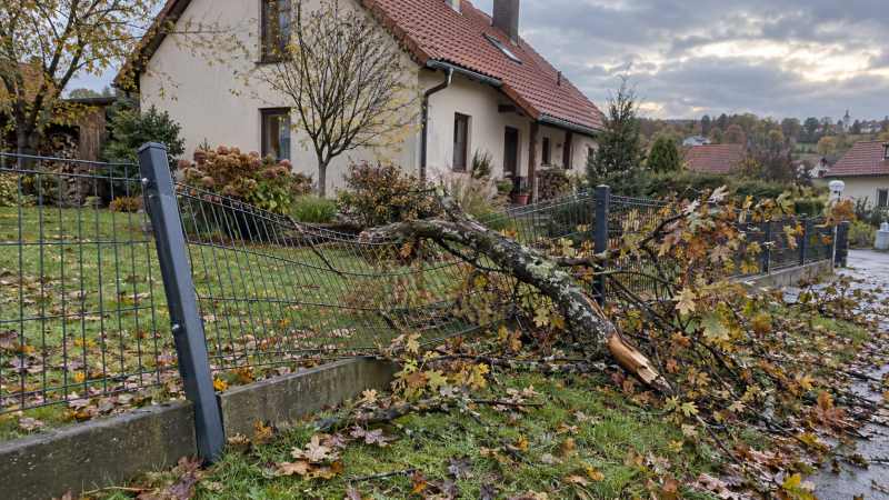 Plot po vichřici: co udělat hned a jak ho správně opravit